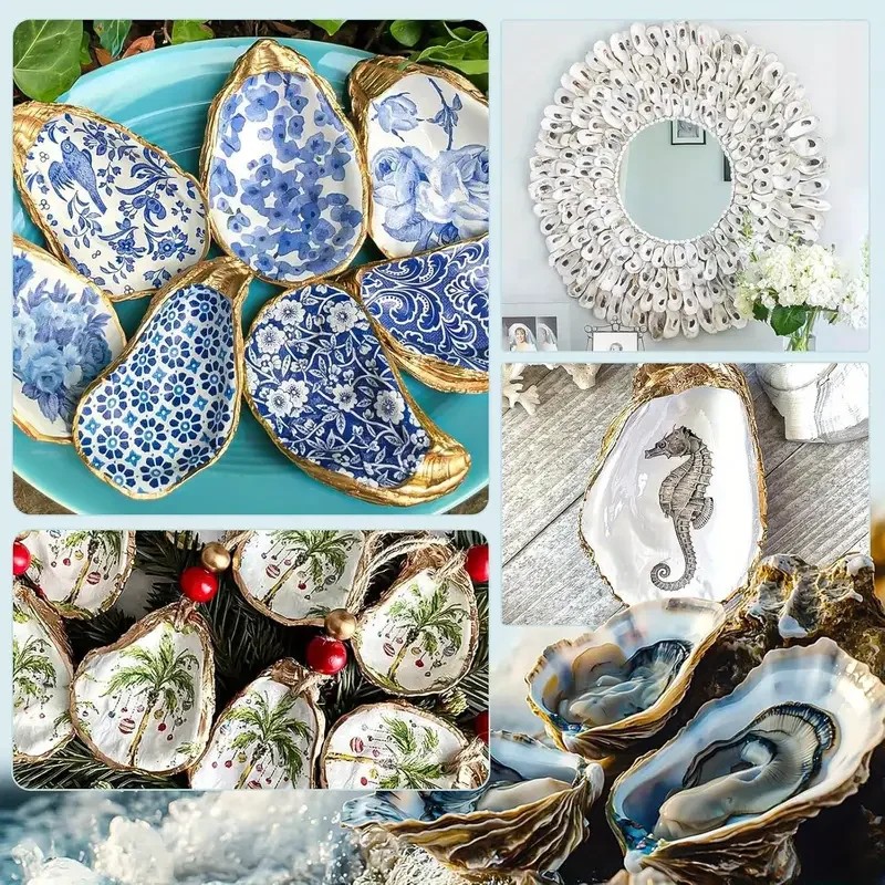 20pcs Large Natural Oyster Shells Flat Oyster Shells for Crafts