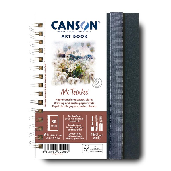 CANSON Professional Art Book, Fine Grain Colouring Mi-Teintes Paper, 160gsm, A5 Spiral Portrait Notebook, 40 White Sheets, Ideal for Professional Artists & Students