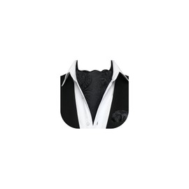 HISDERN Ascot Ties for Men Paisley Cravat Tie and Pocket Square Set Floral Mens Ascot Scarf Handkerchief Wedding Party, A-02 Black 2, One Size