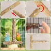 Bird Perches,4pcs Natural Wood Birds Stand Branch, Bird Perch Chewing
