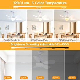 E26 Socket 20" Fan Light Ceiling Fan 5 Level Speed Three Color Temperature Smooth Brightness Adjustment with Remote for Light Replacement for Living Room Bedroom Kitchen 1500 Lumens(White 2Pack)