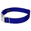 Country Brook Petz Premium Nylon Dog Collar with Metal Buckle