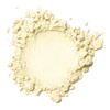 Kylie's Professional Mineral Goddess Loose Foundation, Divine 8g