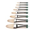 Winsor & Newton Size 6 Winton Hog Filbert Brush