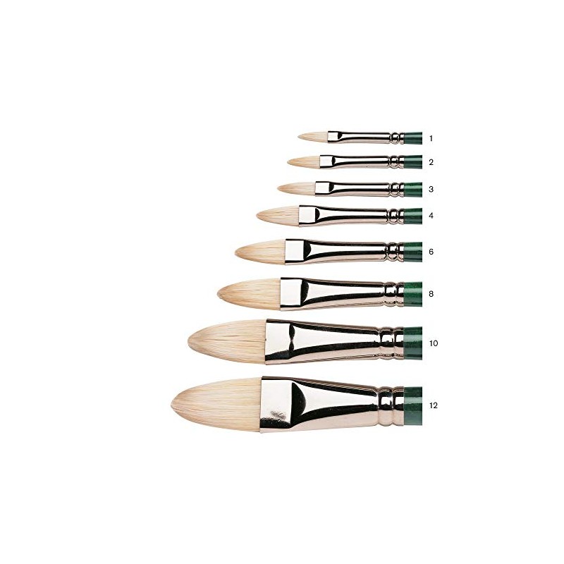 Winsor & Newton Size 6 Winton Hog Filbert Brush