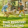 Seymour RENEW Grass and Shrub (Pristine). 17 oz. Can. (Pack