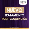 Palette Post Tratamiento para el cabello Intensive Color Creme 200ml