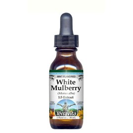 White Mulberry (Morus alba) Glycerite Liquid Extract (1:5) - Mint Flavored (1 oz, ZIN: 513165) - 3 Pack