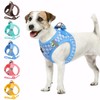 Gyuzh Dog Harness and Leash Set,Soft Mesh Breathable Small Dog