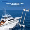 ARANA 304 Stainless Steel Gas Struts 20 inch 150 lb