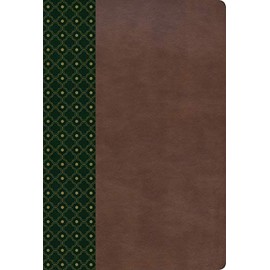 RVR 1960 Biblia de Estudio Scofield, verde oscuro/castaÃ±o sÃ­mil piel (Spanish Edition)