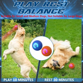 NIUYOU NIUYOU 2025 New Shaky Ball Toy for Dogs, Vibrating Dog Ball,Shaking Dog Ball, Interactive Dog Ball,USB Rechargeable Automatic Moving Dog Toy Ball,for Small Medium Large Dogs(2PCS-A) (A)