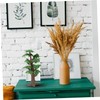 SEWACC Simulation Large Tree Tree Model Plastic Micro Landscape Green