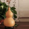 Kisangel Dried Gourd Natural Wu Lou Hulu Feng Shui Fortune