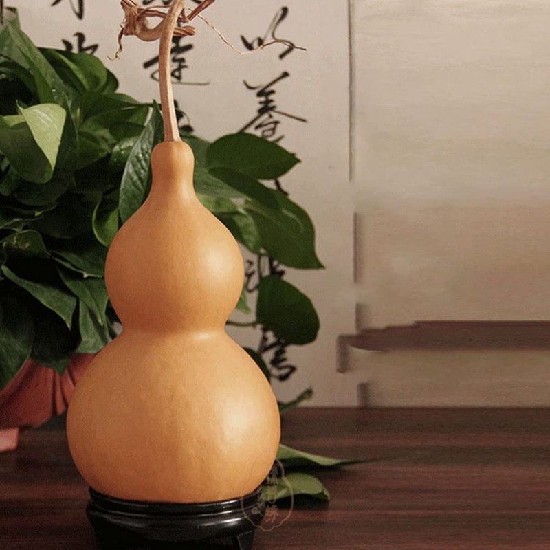 Kisangel Dried Gourd Natural Wu Lou Hulu Feng Shui Fortune
