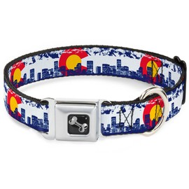 Buckle-Down 11-17" Colorado Skyline/Mountains Dog Collar Bone, Medium