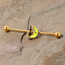 Body Candy Womens 14G PVD Steel Helix Cartilage Earring Black Cat Crescent Moon Industrial Barbell 1 1/2"