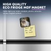 1 x Square MDF Fridge Magnet - Ragdoll Cat Kitten