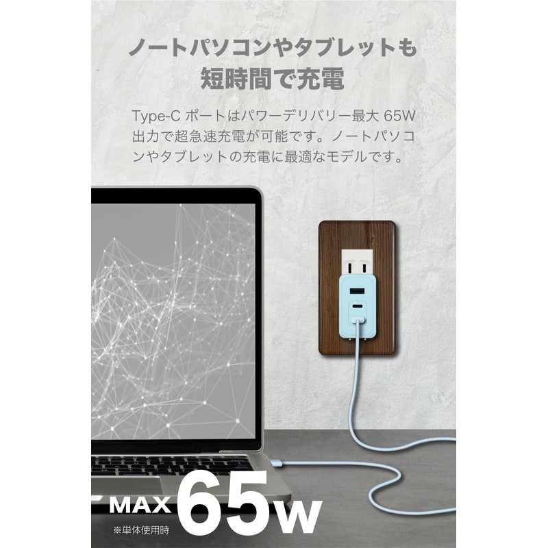 Tama Electronics Industry PD65W Compatible, AC Charger, 3 USB Ports