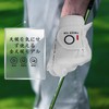 MLT24 Men's Golf Gloves, Set of 6, Suede Faux Leather,