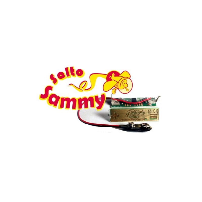 Elektronik Gabriel Salto Sammy Tuning for Looping Louie
