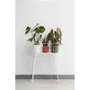 Elho B.for Soft Flower Pot