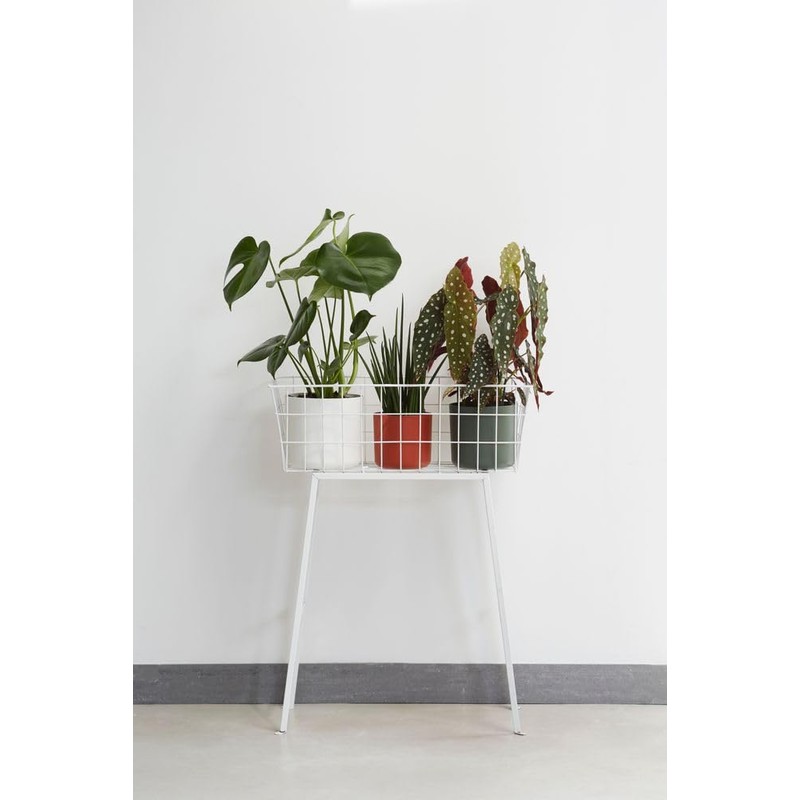 Elho B.for Soft Flower Pot