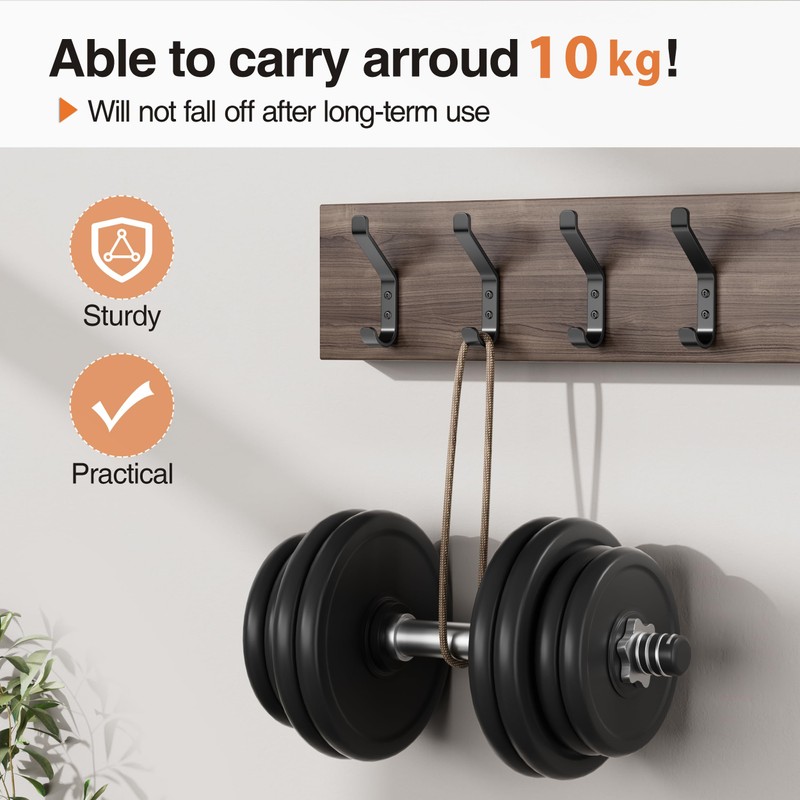 susswiff 10-Pack Wall Hooks for Hanging Coat: 10KG Metal Strong