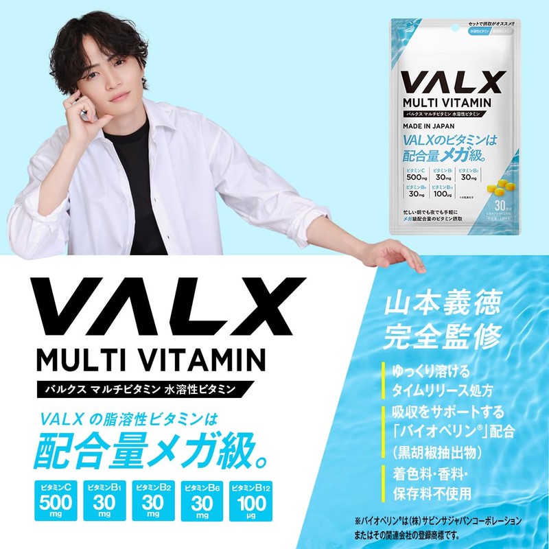 VALX Bulk WPC Whey Protein Yogurt Flavor 14.5 oz (420
