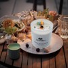 OakVault Organic Soy Scented Candles With Crystals - Flavors: Juniper