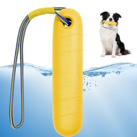 Dog Toy, Very Robust Dog Toy for Training, Swimming Toy for Dogs, 22 cm, with Rope, Fetch Toy for Dogs, Training and Fetch for Medium, Large Dogs