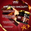 VASU Ayurveda Himalayan Shilajit Resin 400mg – Lab Tested Natural