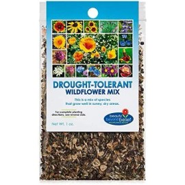 Beauty Beyond Belief Premium Drought Resistant Wildflower Seeds Bulk Mix Attract Pollinators 100 S...