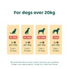 DogSuppy Itch Relief For Dogs – Relieves Itching, Scratching, Licking,