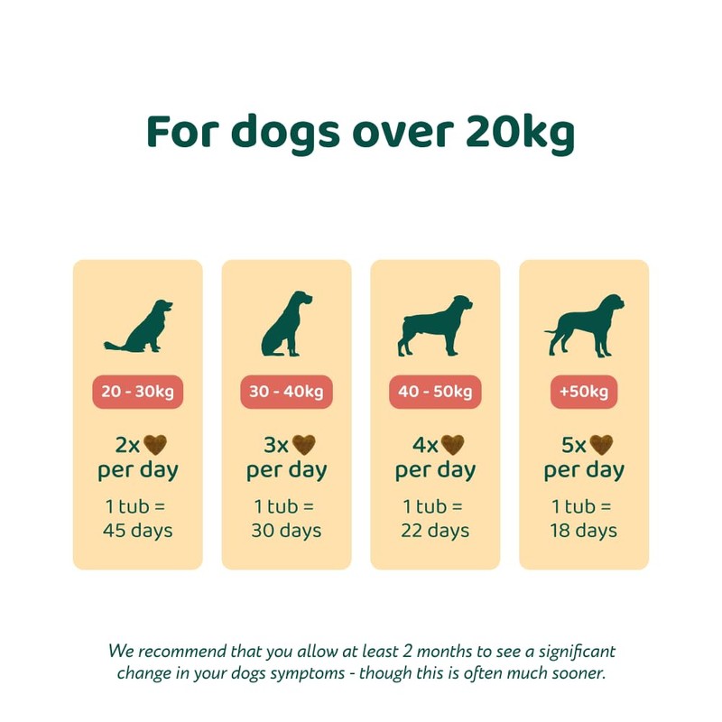 DogSuppy Itch Relief For Dogs – Relieves Itching, Scratching, Licking,