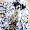 Nobby Classic LISSI 60882 Dog Blanket L x W 100