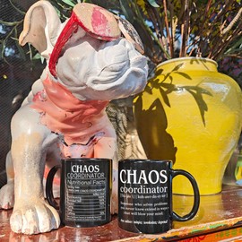 Funny Chaos Coordinator Mug Gift, Novelty Appreciation Gifts for Men Friends Teacher, Fathers Day Gift, Coworkers Thank You Gifts, Thank You Gifts for Work Mom Boss Teacher, Inspiration Birthday Gifts