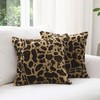 Cheer Collection Set of 2 Leopard Print Throw Pillows -