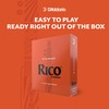 D'Addario Woodwinds - Rico Bb Clarinet Reeds - Reeds for