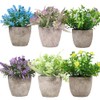Vibrant Leaf Set of 6 Artificial babysbreath Plants Lavender Flower