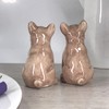 Lesser & Pavey Salt & Pepper Set for All Types