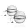 Prettyui 2 Pack Stainless Steel Mesh Tea Strainer with Extended