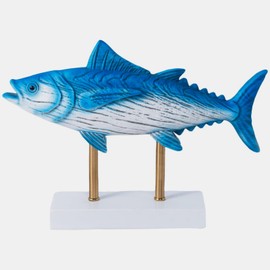 CXYANG Tuna Fish Statues Sculptures Home Decor Coastal Beach Themed Resin Figurines Fireplace Mantel Decorations for Living Room Bookshelf Office Desk Accents Sky Blue