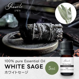 White Sage Essential Oil, 0.2 fl oz (5 ml), Gissele Aroma Oil, Essential Oil, Purifying, White Sage Oil