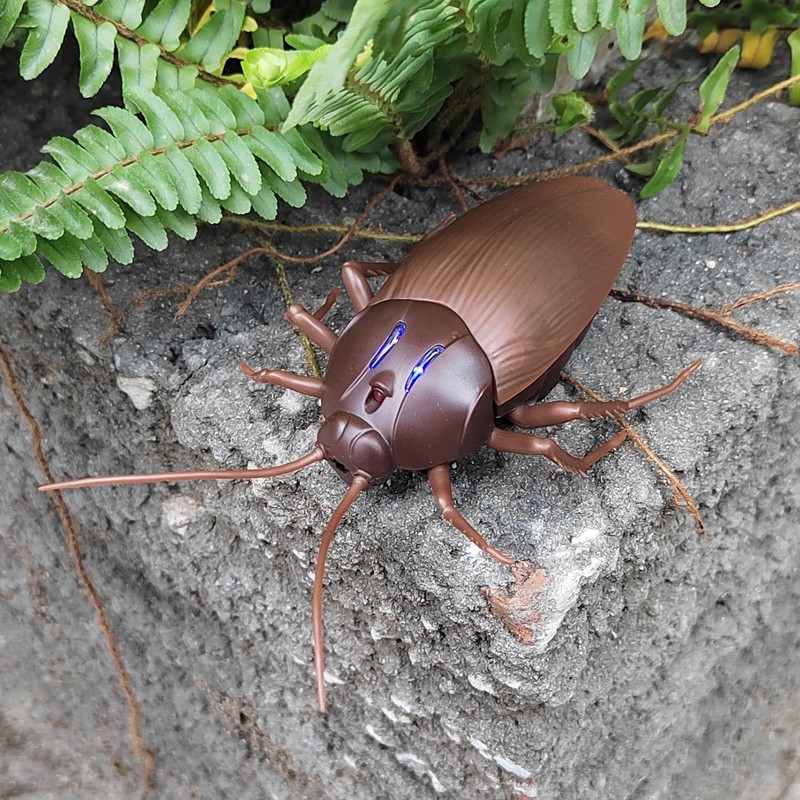 Tipmant RC Cockroach Remote Control Car Vehicle Animal Toys Electronic