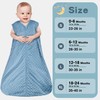 BSTOPPT Fleece Baby Sleep Sack with Plush Dots,2 Pack TOG
