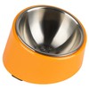 SuperDesign Mess Free 15° Slanted Bowl for Dogs and Cats,