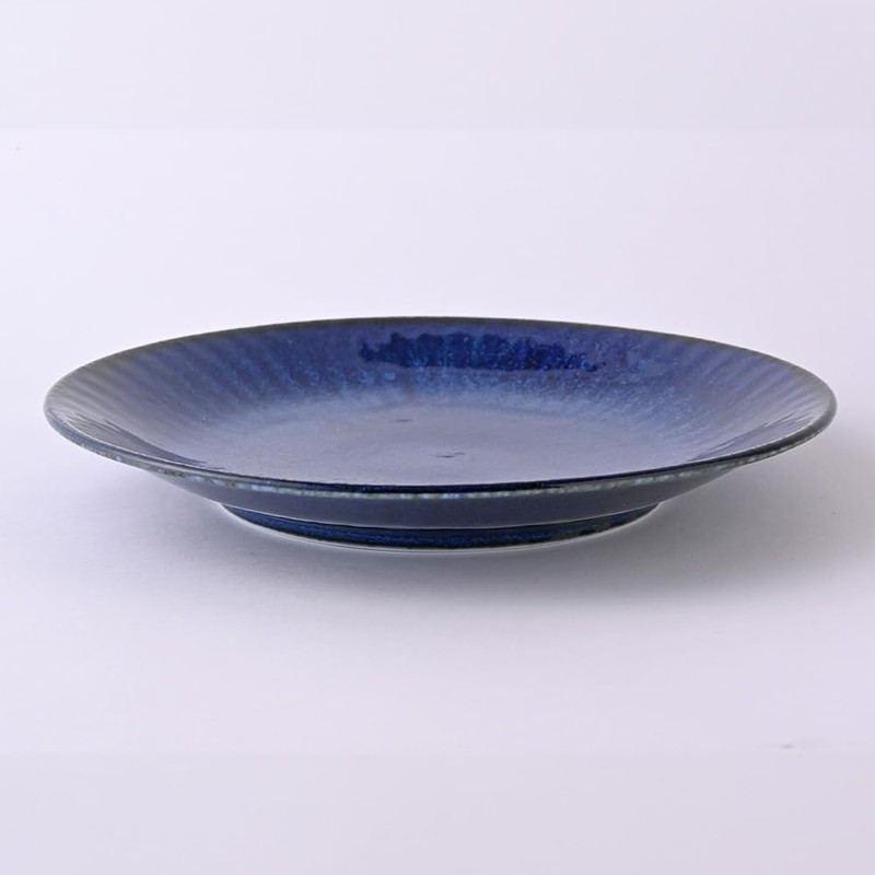Neptune NPURK70 Medium Plate, 8.7 inches (22 cm), Round Plate,