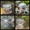4 Pack Planaria Catch Trap Aquarium Snail Leech Clear Glass