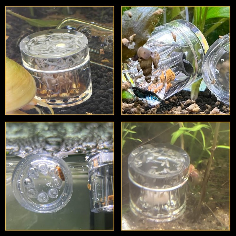 4 Pack Planaria Catch Trap Aquarium Snail Leech Clear Glass